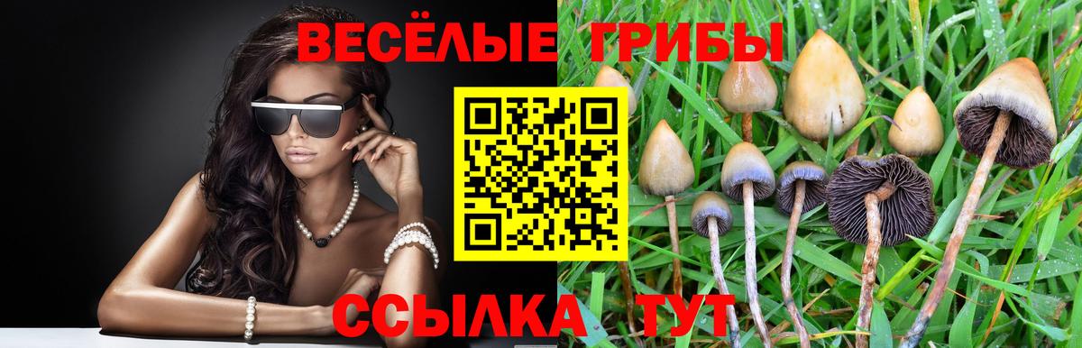Галлюциногенные грибы Psilocybe  Галлюциногенные грибы GOLDEN TEACHER  Вход с VPN  Королёв 